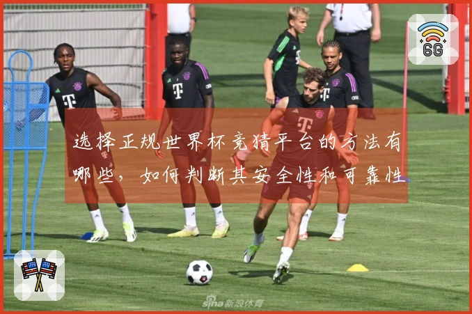 选择正规世界杯竞猜平台的方法有哪些，如何判断其安全性和可靠性