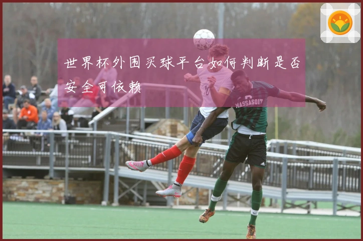 世界杯外围买球平台如何判断是否安全可依赖