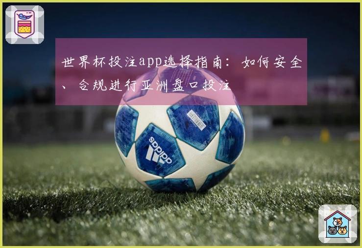 世界杯投注app选择指南：如何安全、合规进行亚洲盘口投注