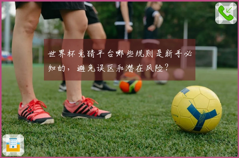 世界杯竞猜平台哪些规则是新手必知的，避免误区和潜在风险？