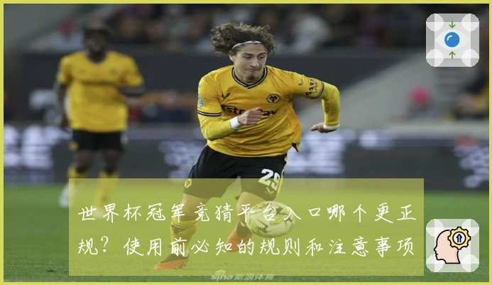 世界杯冠军竞猜平台入口哪个更正规？使用前必知的规则和注意事项