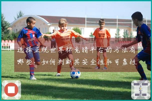 选择正规世界杯竞猜平台的方法有哪些，如何判断其安全性和可靠性
